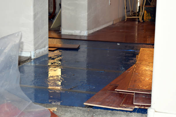 Professional Basement Flood Cleanup technician working in Sanibel, FL